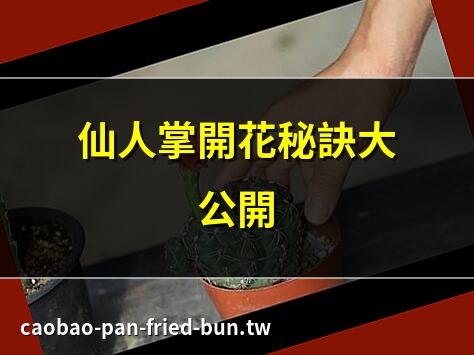 仙人掌開花秘訣大公開 | 仙人掌開花時間全解析 | 仙人掌開花品種推薦 | 仙人掌開花養護指南