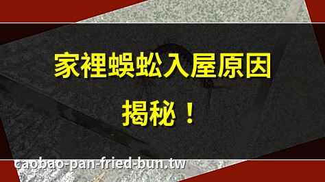 家裡蜈蚣入屋原因揭秘！ | 蜈蚣入侵？5大驅趕妙招！ | 家裡蜈蚣處理全攻略！ | 蜈蚣入屋風水解析！
